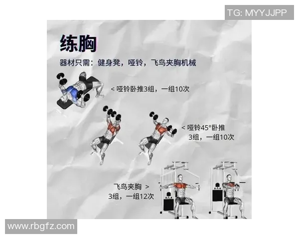 哑铃初学者必看的入门指南与训练技巧分享